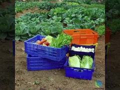 27L हल्के फोल्डिंग क्रेट बॉक्स सब्जी फल टर्नओवर जाल क्रेट हैंडल के साथ